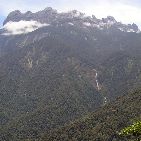 Sabah Natural Resources: Preserving Mangroves Protector of Our Coastlines